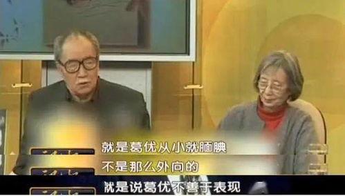 葛优老师爆料视频,爆料视频背后的故事 第2张 葛优老师爆料视频,爆料视频背后的故事 第2张