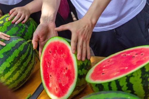 今日吃瓜免费入口,畅享热门资讯盛宴 第3张 今日吃瓜免费入口,畅享热门资讯盛宴 第3张